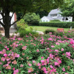 REUNION_2018__109